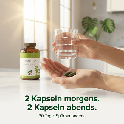 Moringa 90+ Komplex